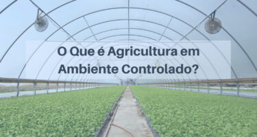 Novas Formas de Cultivo com a Agricultura de Ambiente Controlado