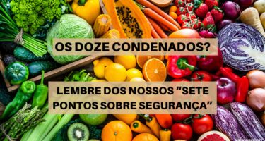 Os Sete Pontos Sobre Segurança: Como Evitar os Doze Condenados