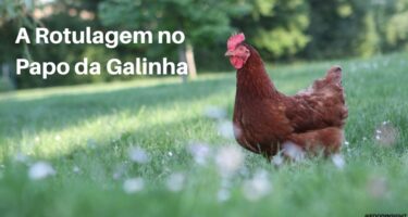 Galinhas Caipiras e Ovos Produzidos Fora de Gaiolas: A Rotulagem no Papo da Galinha