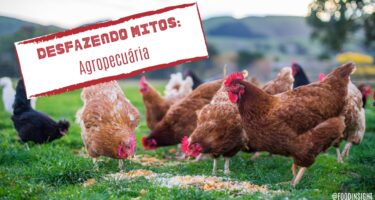 Desfazendo Mitos Sobre a Agropecuária