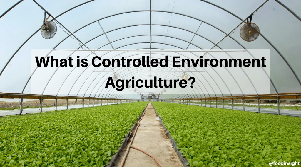 Growing in New Ways with Controlled Environment Agriculture